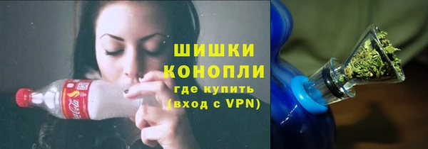 сатива Куйбышев