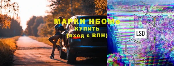 сатива Куйбышев