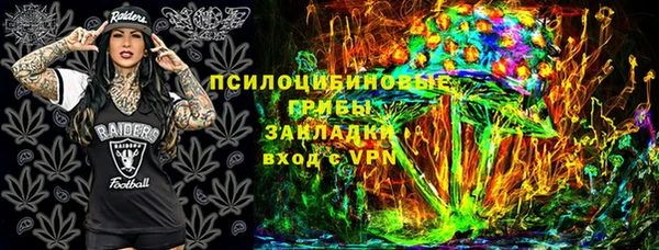 ГАЛЛЮЦИНОГЕННЫЕ ГРИБЫ Кукмор