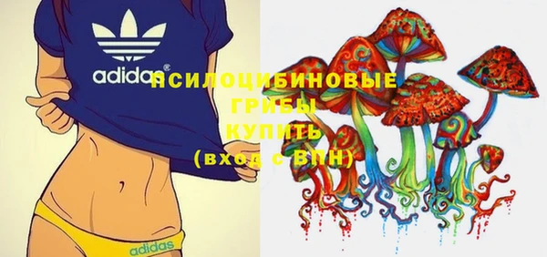 ГАЛЛЮЦИНОГЕННЫЕ ГРИБЫ Кукмор