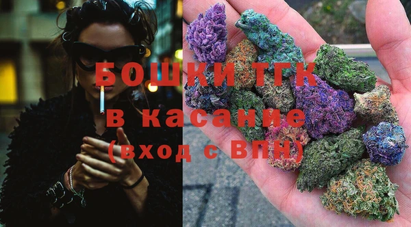 ГАЛЛЮЦИНОГЕННЫЕ ГРИБЫ Кукмор