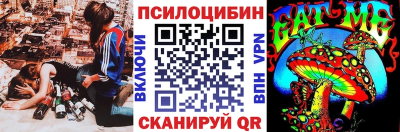 Галлюциногенные грибы GOLDEN TEACHER  Купить закладки  Кизляр 
