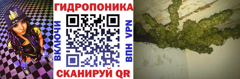 Шишки марихуана индика  Купить где  Кизляр 